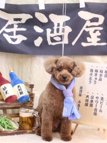 20240616ココアくん